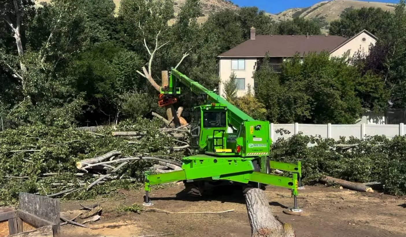 Equipment-assisted tree removal